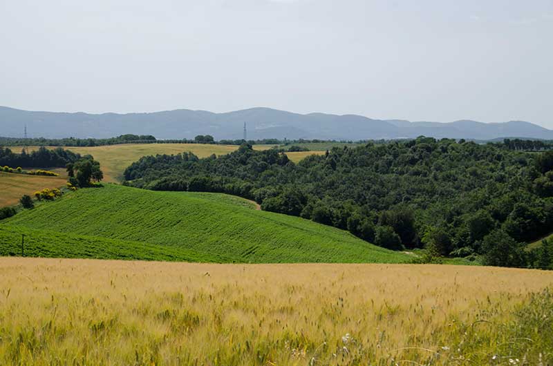 The colours of Tuscany