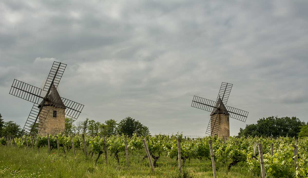 Moulines de Calon, Montagne
