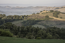 DSC_8126-1000-CreteSenesi