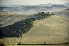DSC_8209-1000-CreteSenesi