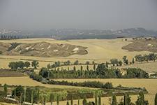DSC_8228-850-CreteSenesi
