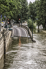 DSC_3875 1000-Paris