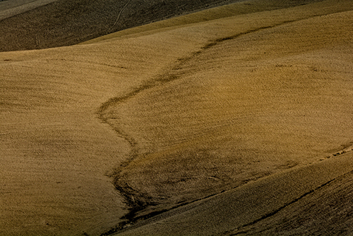 Crete Senesi - photographybymarcus.com