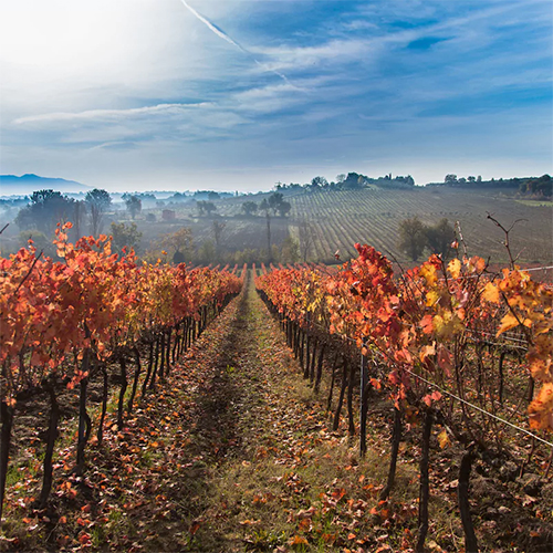 Umbria by Claudio Poggi
