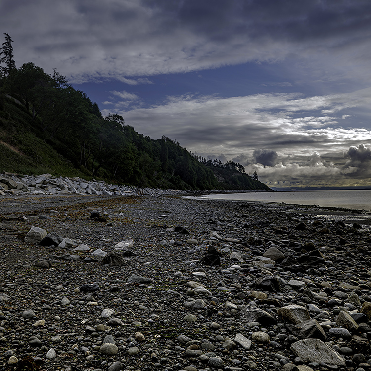 Goose Spit Comox