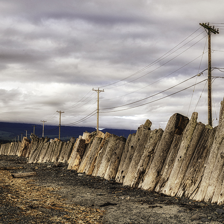 Goose Spit, Comox, Vancouver Island