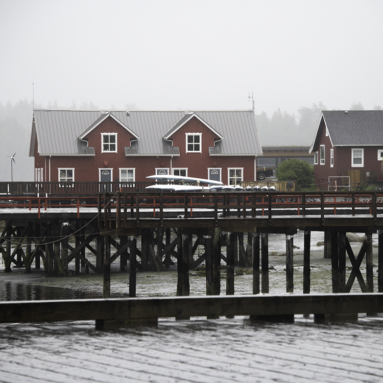 Tofino