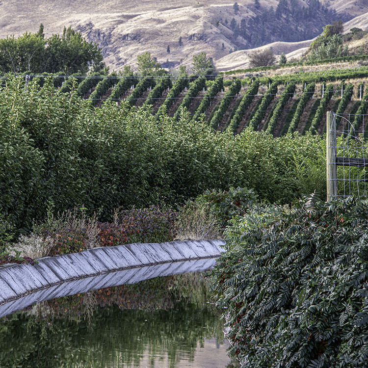 Oliver Irrigation Canals