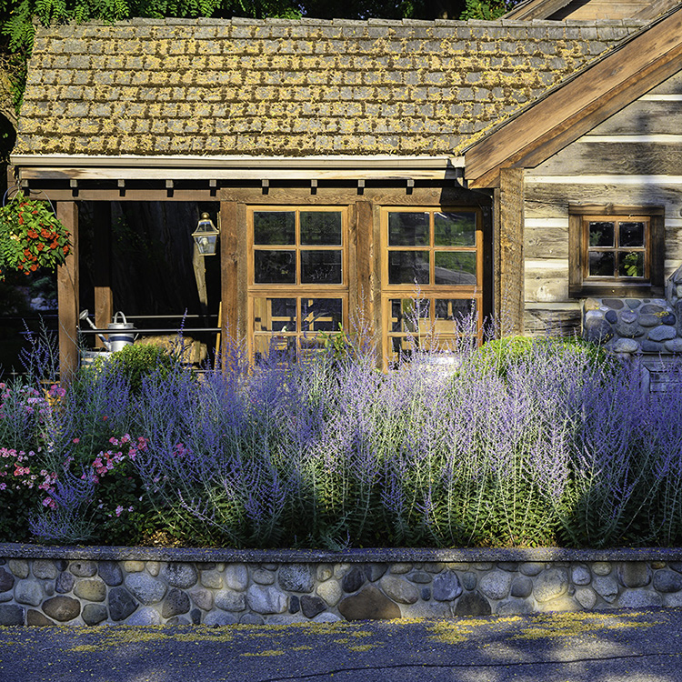 Quails Gate Vineyards