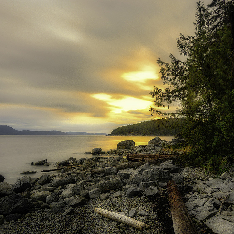 Scotch Fir Point, Powell River BC