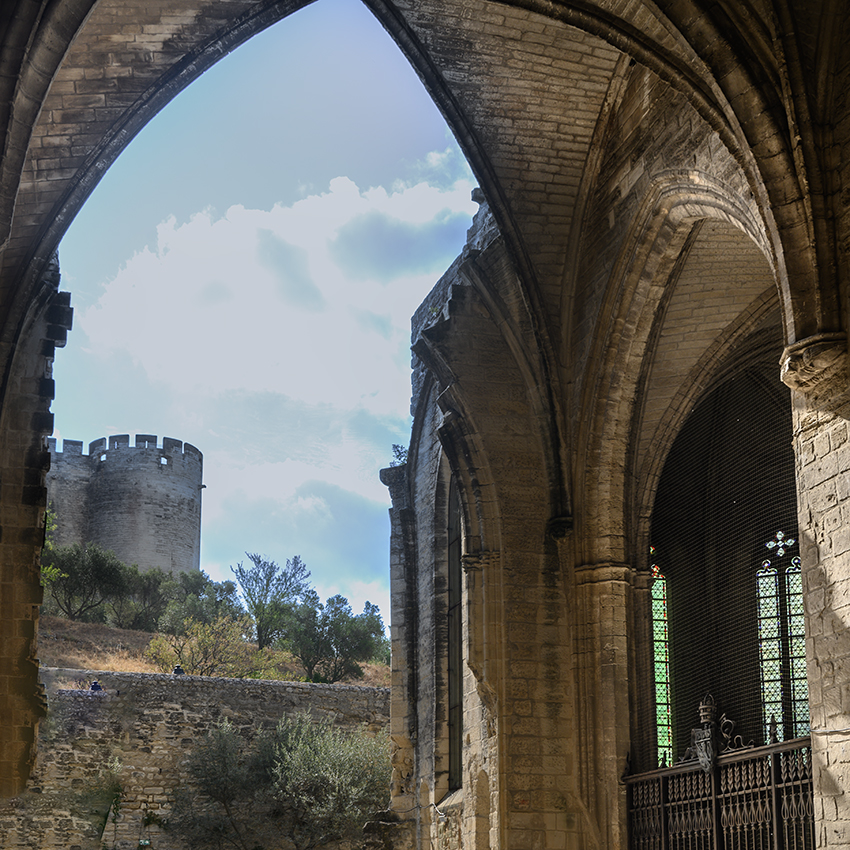 Fallen aspe of the church at La Chartreuse - photo: mytravellinglens.com