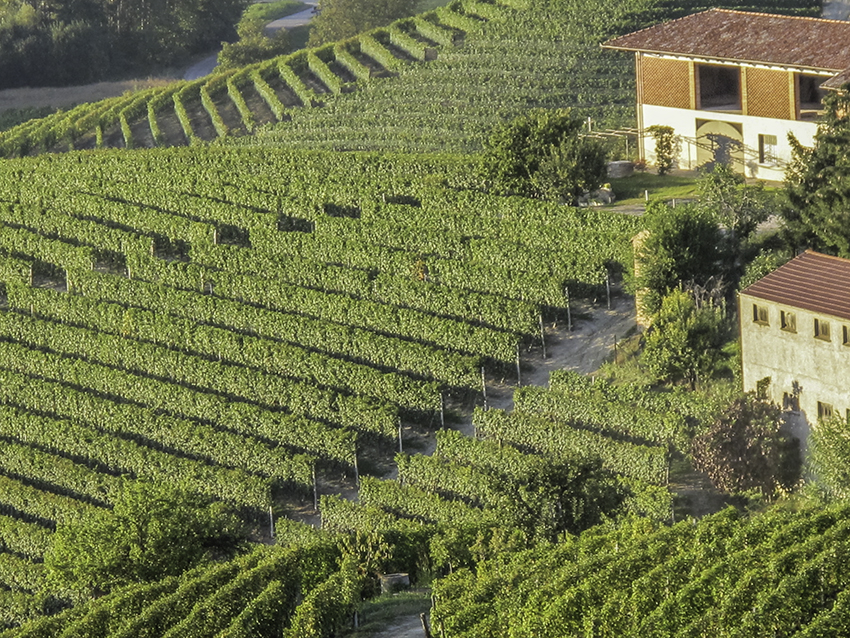 Langhe