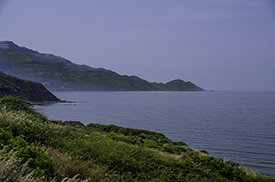 DSC_7987-850-WestCoastSardina