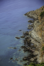 IMG_0456-850-WestCoastSardina